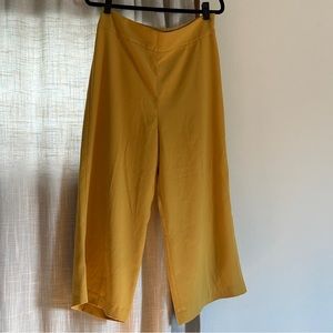 NWT Express Wide Leg Cropped Pants